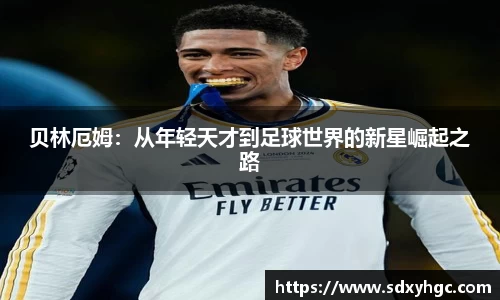 雷火亚洲电竞平台