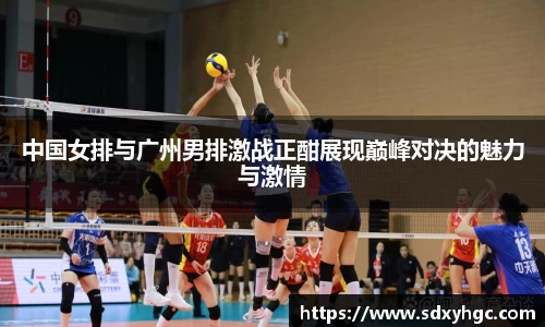 中国女排与广州男排激战正酣展现巅峰对决的魅力与激情