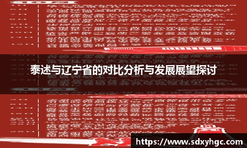 泰述与辽宁省的对比分析与发展展望探讨